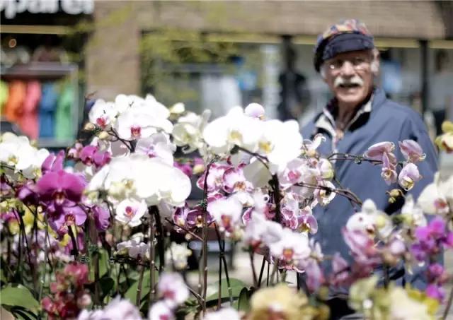 亚洲最大花市宛如仙境,中国最牛的花市