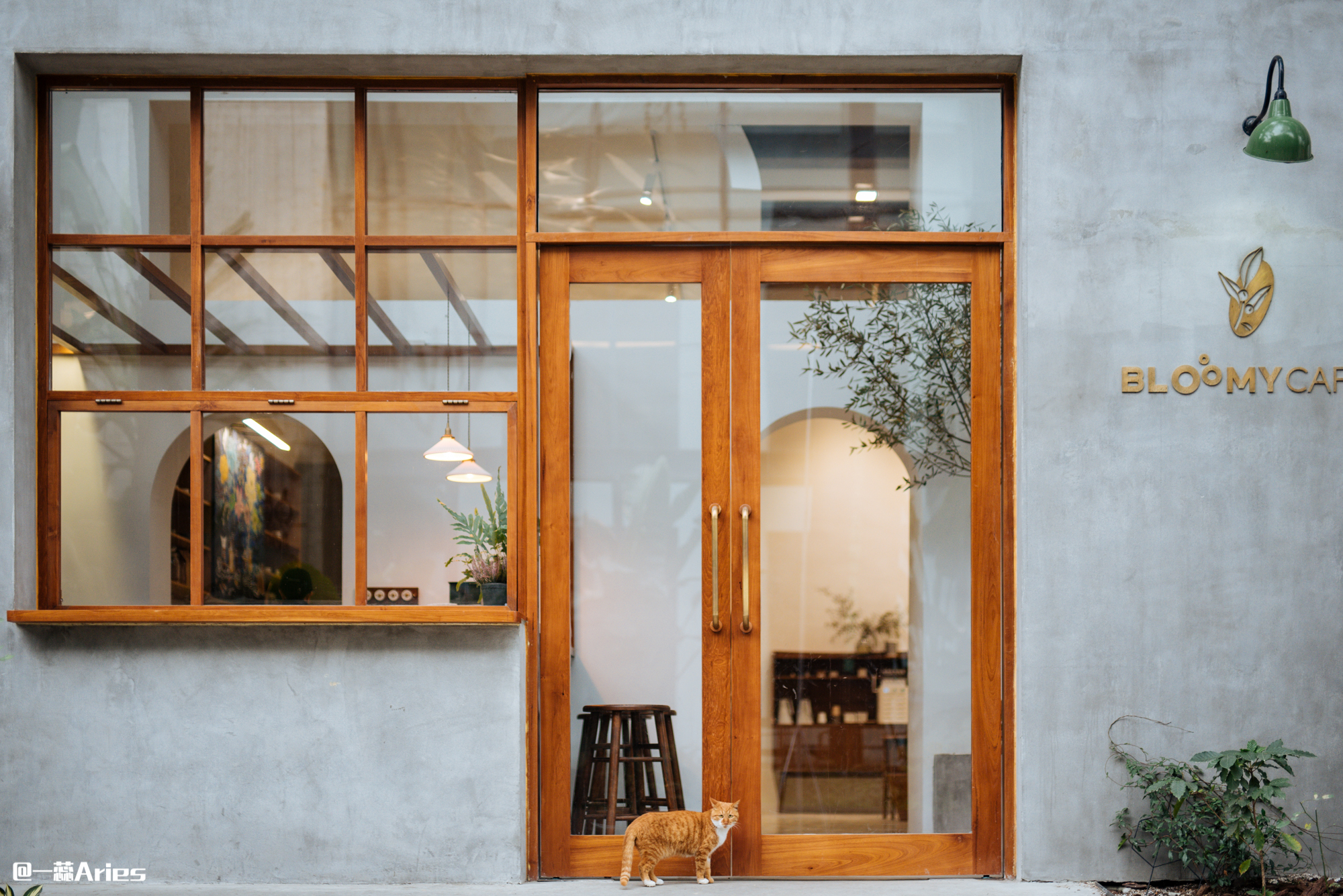 七夕约会攻略成都,520适合情侣约会的地方成都