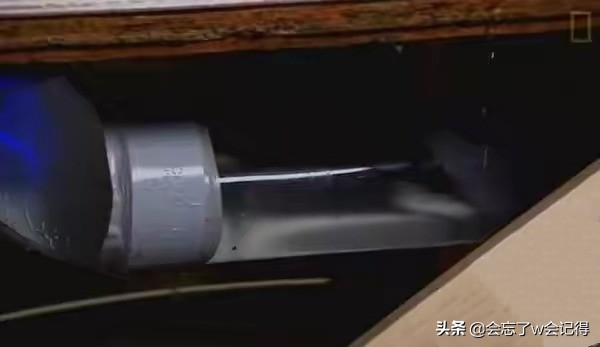 老鼠是怎么从下水道钻上来的,老鼠在下水道怎么爬上来的