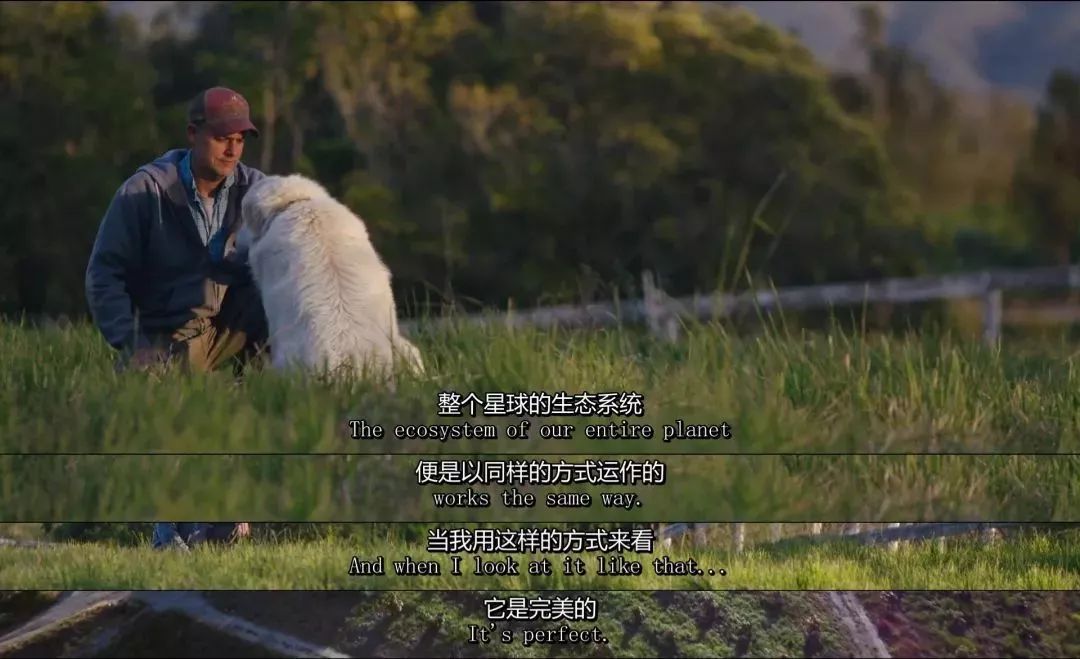 田园牧歌有哪些,田园牧歌纪录片