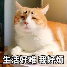 用了12年的布艺沙发要换吗,布艺沙发和皮沙发经验之谈