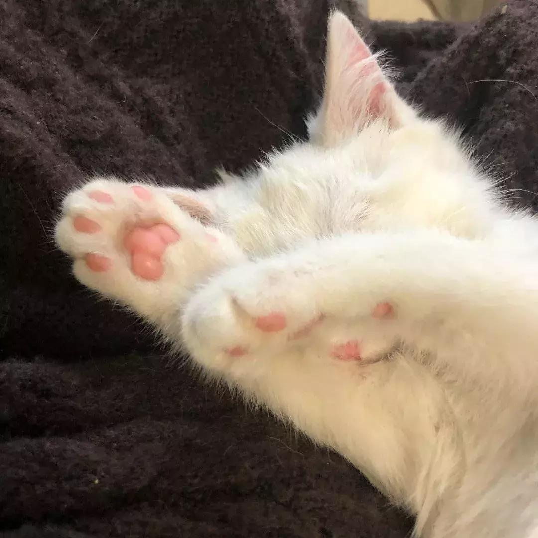 10支公认好看的口红有哪些,最好看的鬼打墙口红