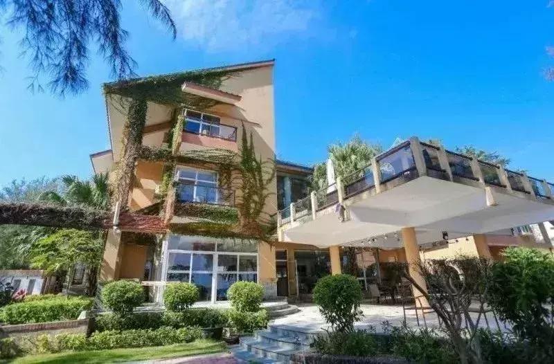 深圳最美海岸线民宿,深圳网红民宿推荐海边