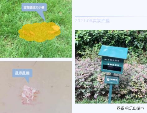 突击:我们暗中实查了时代青江小区的物业工作