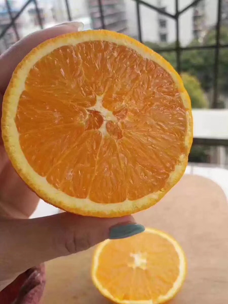 橙子有公母之分怎样挑选,橙子分类视频