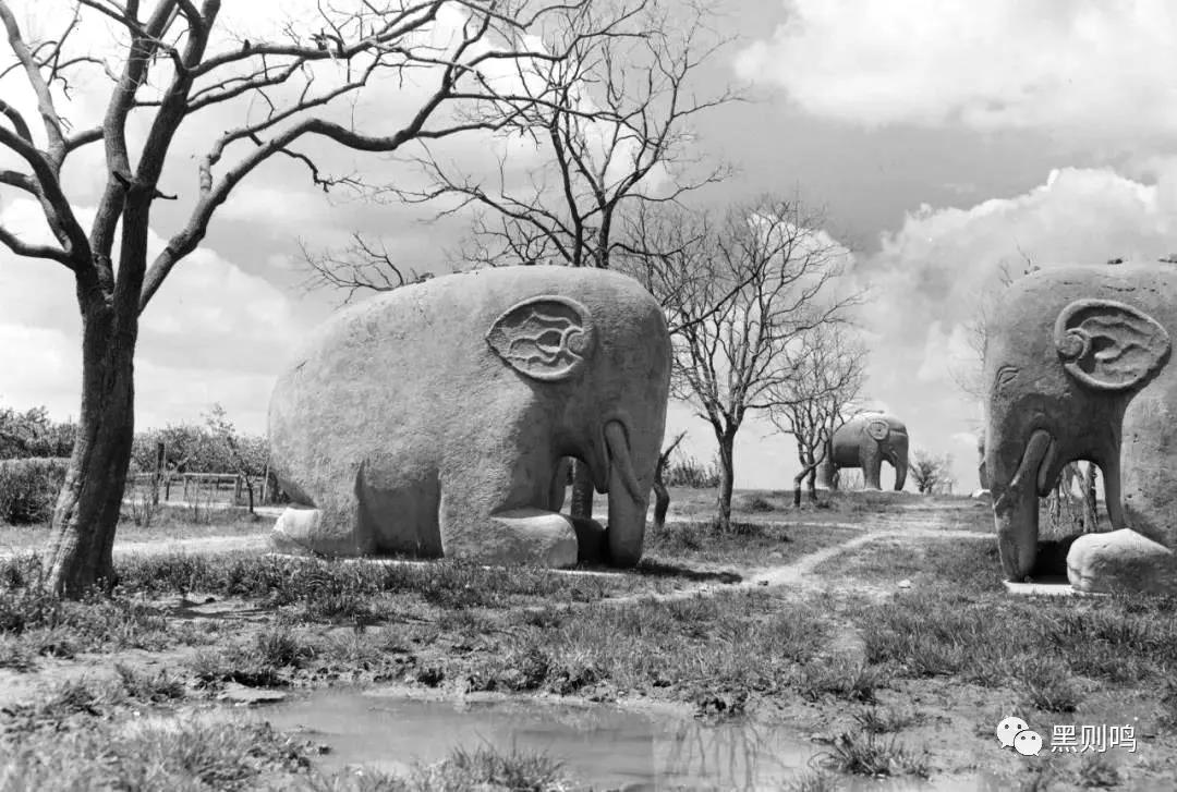 1934年的南京城,1944年南京视频