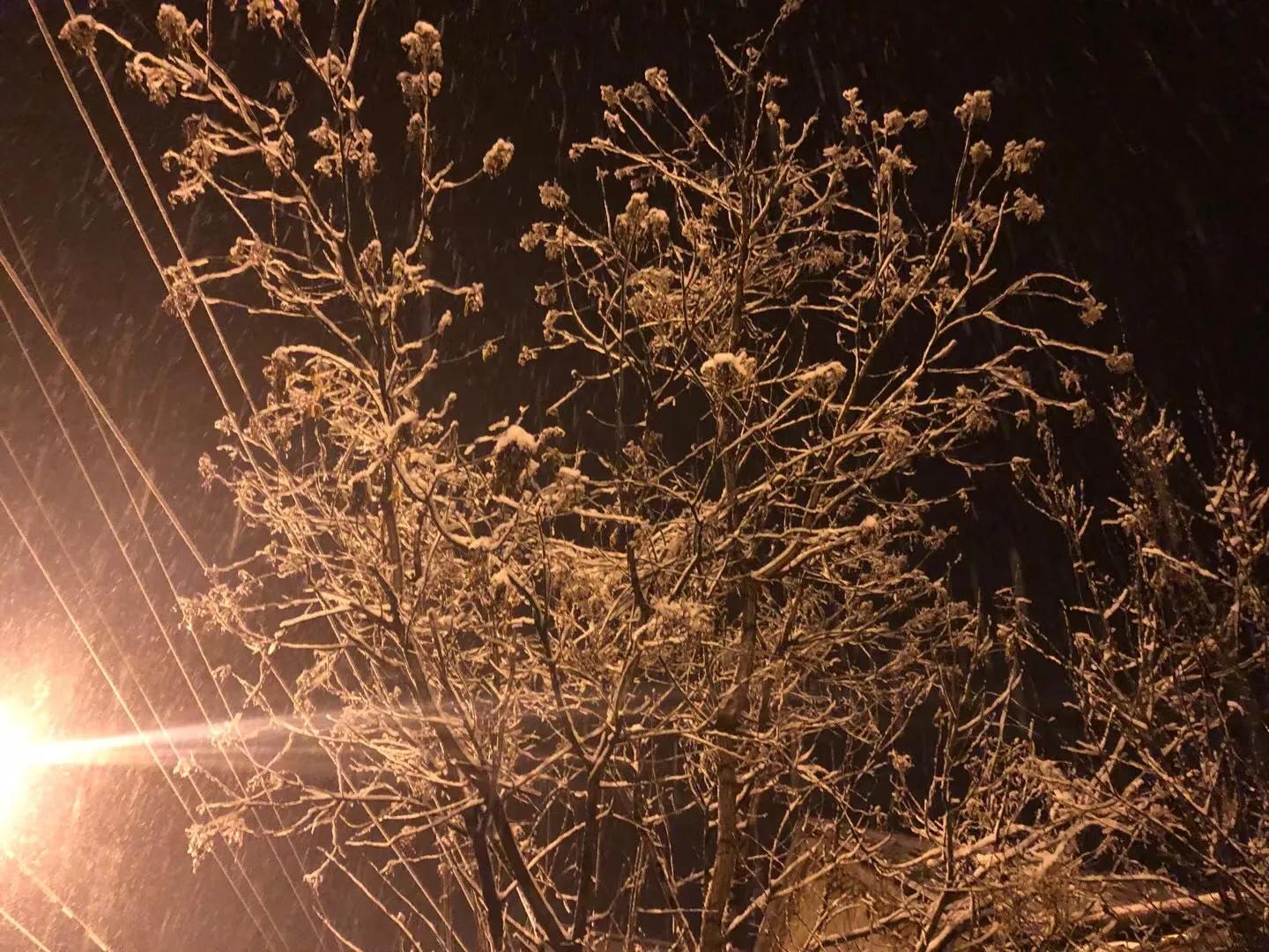 济南的初雪来了,对济南初雪的感受