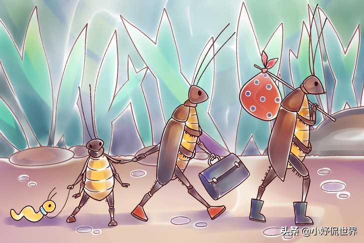 大多数人生活的困境,大多数人遇到的内心困境