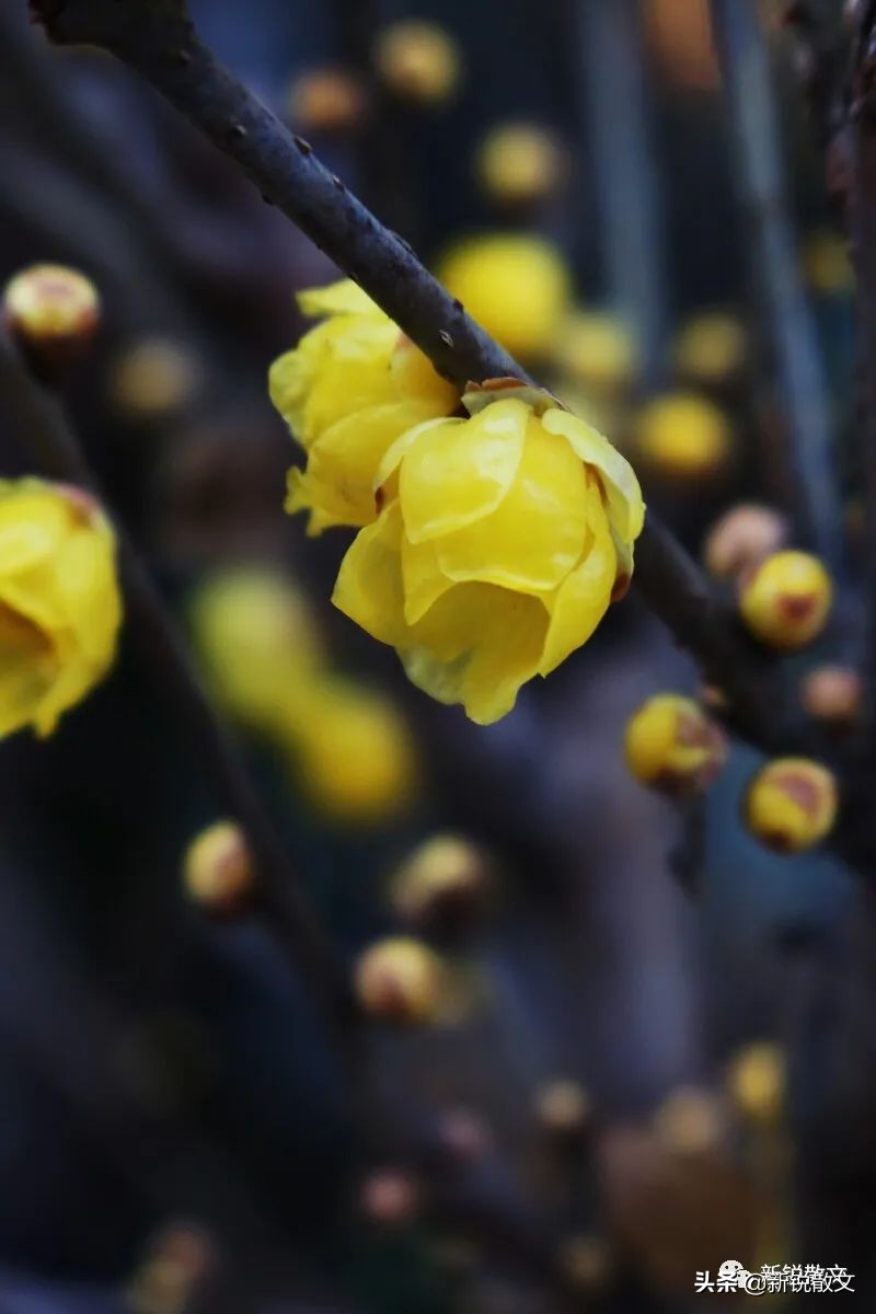 我的书屋的样子,我的书屋让生活更美好