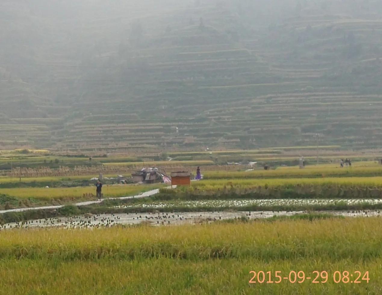 黄果树荔波小七孔苗寨镇远两日游,千户苗寨梵净山黄果树三日游
