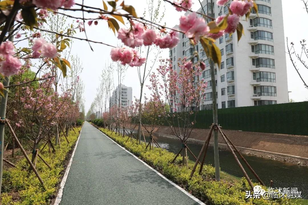 临沭一园六路规划,临沭县建设投资