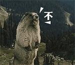 汽车与电动车出事电动车全责,电动车和小车相撞电动车全责