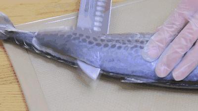 海边海鲜烧烤青岛,啤酒烧烤推荐城市