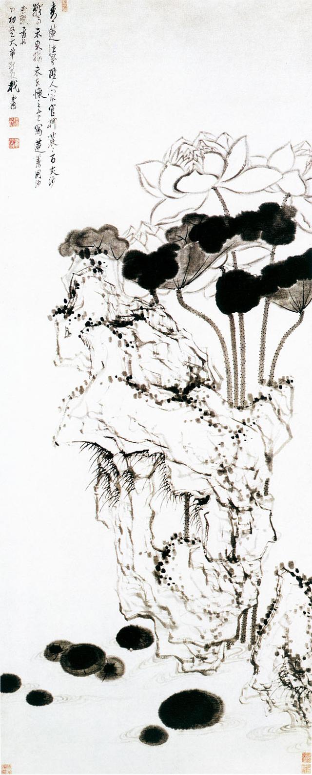 「转」这么美的荷花，千年荷韵