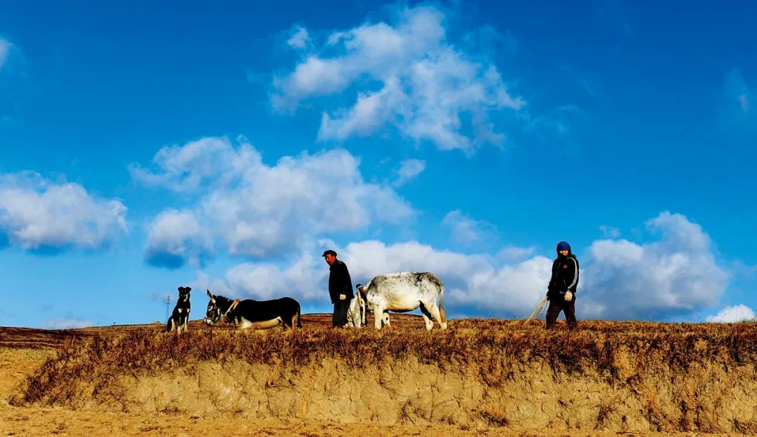 长城2万多公里分布在哪里,2万公里长城全景