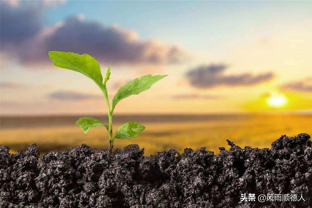 鲍威尔股市会涨吗,鲍威尔讲话怎么美股涨了