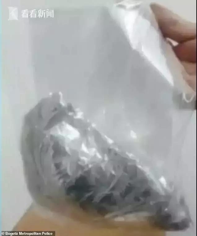 女子向自己的身体“开刀”，再自行缝合！登机时被警方发现异常