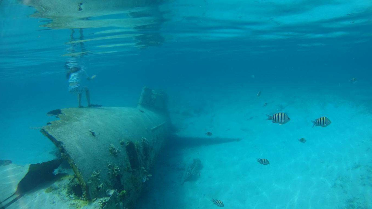巴哈马群岛埃克苏马岛,巴哈马群岛海岛