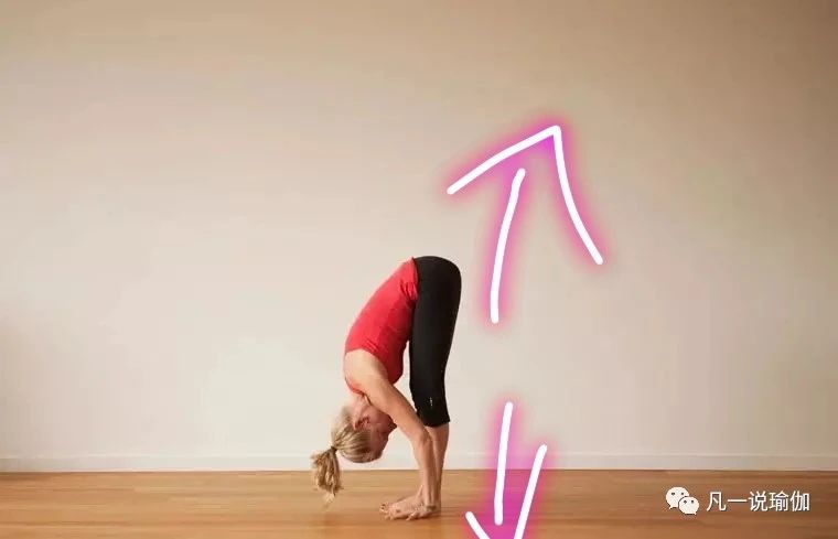 瑜伽核心力量对抗训练,零基础瑜伽私教课要练的动作