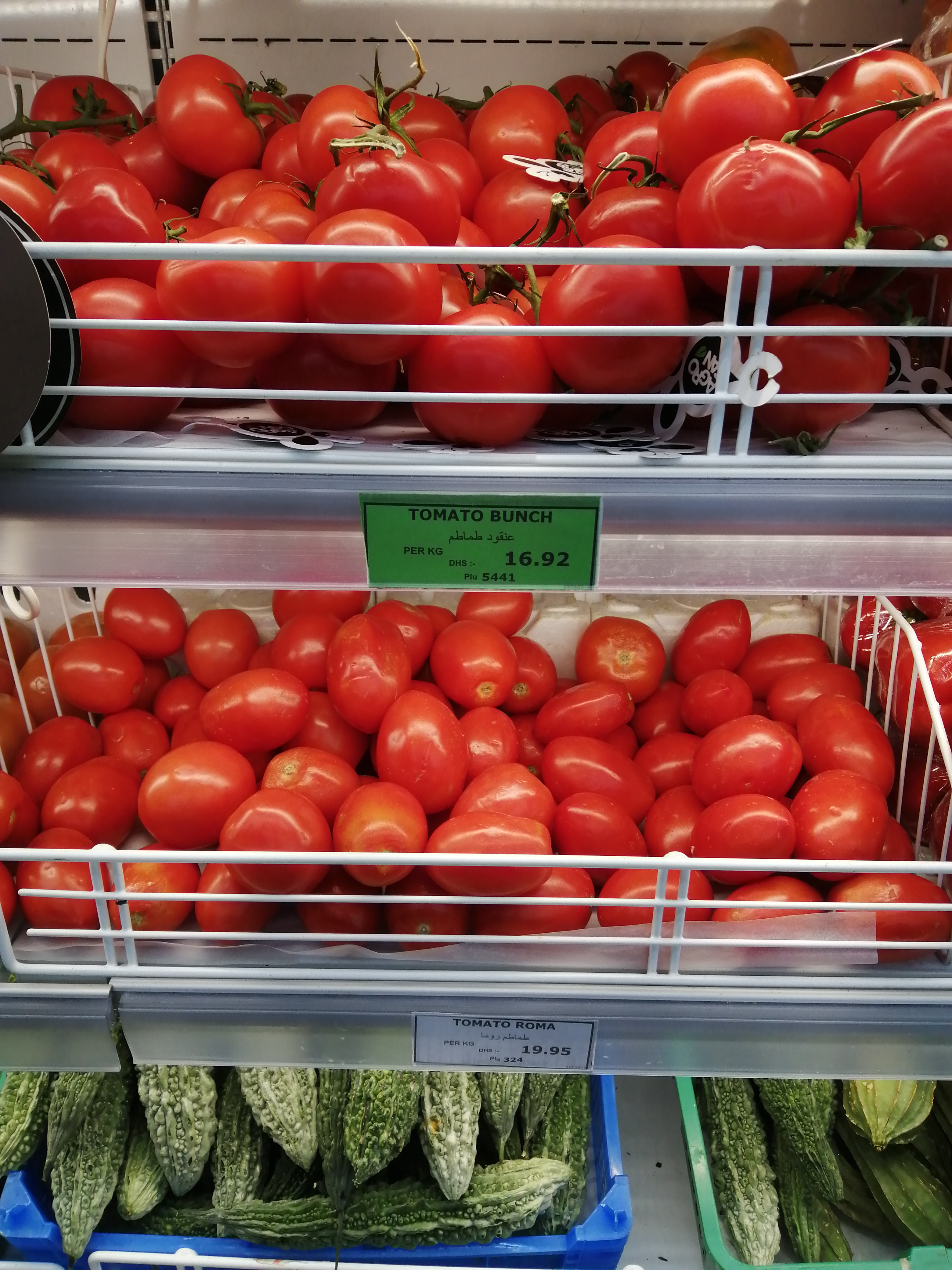 在迪拜的真实生活物价贵吗,迪拜日常生活花销vlog