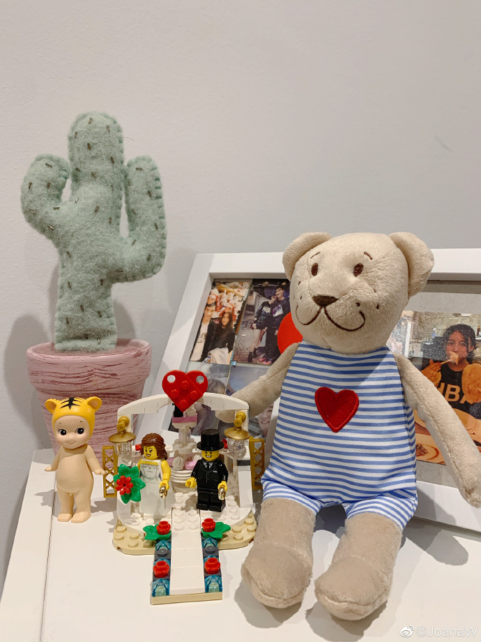 韦世豪求婚全集,韦世豪求婚