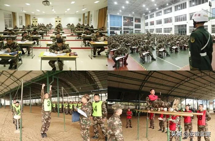 纪实视频,记实记录