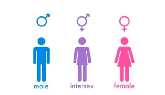 人类有两种人格吗,人类有两个性别吗