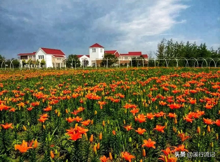 锦州世博园公交车时间表,锦州世博园9月中旬