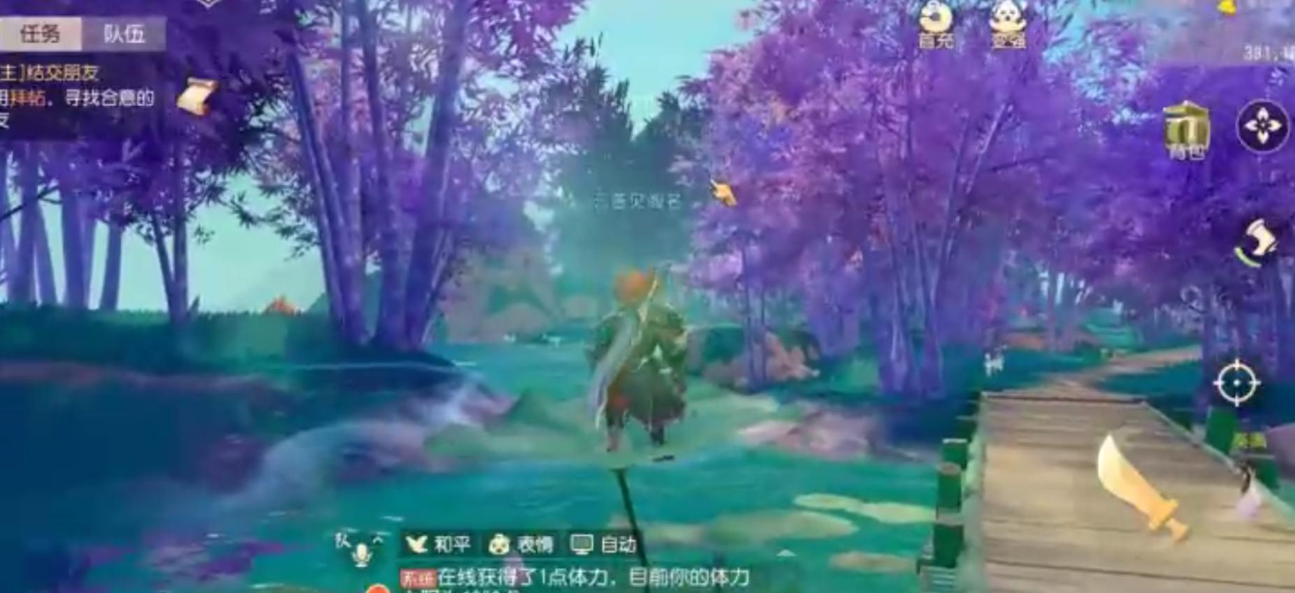 梦幻西游三维版有什么好玩的,梦幻西游三维版画面设置