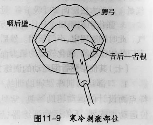 吞咽障碍有什么推拿手法,实用吞咽障碍手法训练技巧
