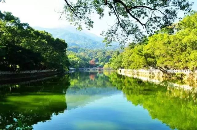 惠州罗浮山酥醪景区盆菜,罗浮山盆菜