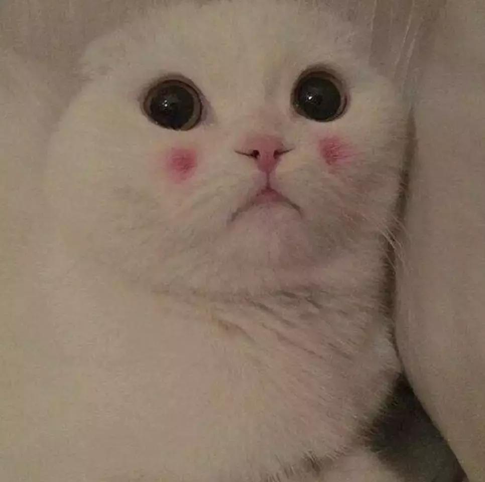 被狗仔跟拍恋情曝光,被狗仔拍到后曝光全网