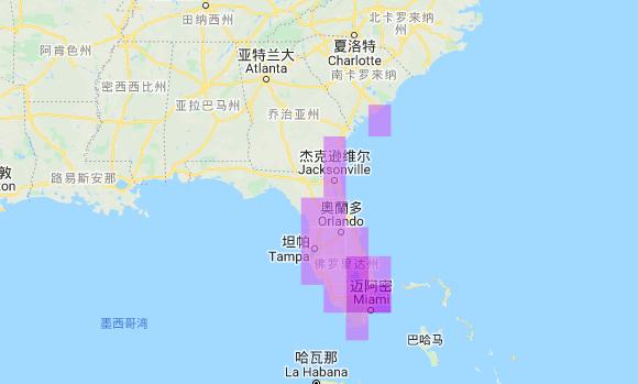 紫水鸡入侵美国,在美国泛滥成灾,为何在中国却是三有保护动物