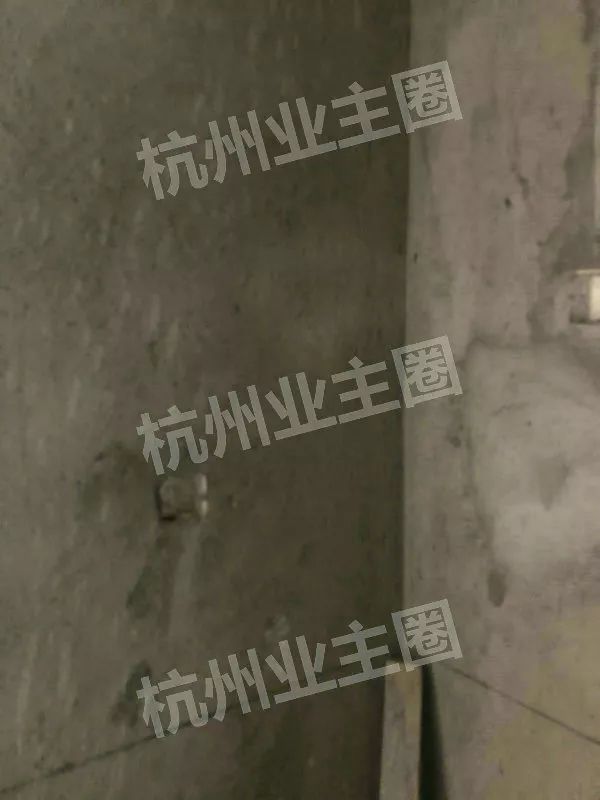 绿都什么意思,绿都包括哪些绿