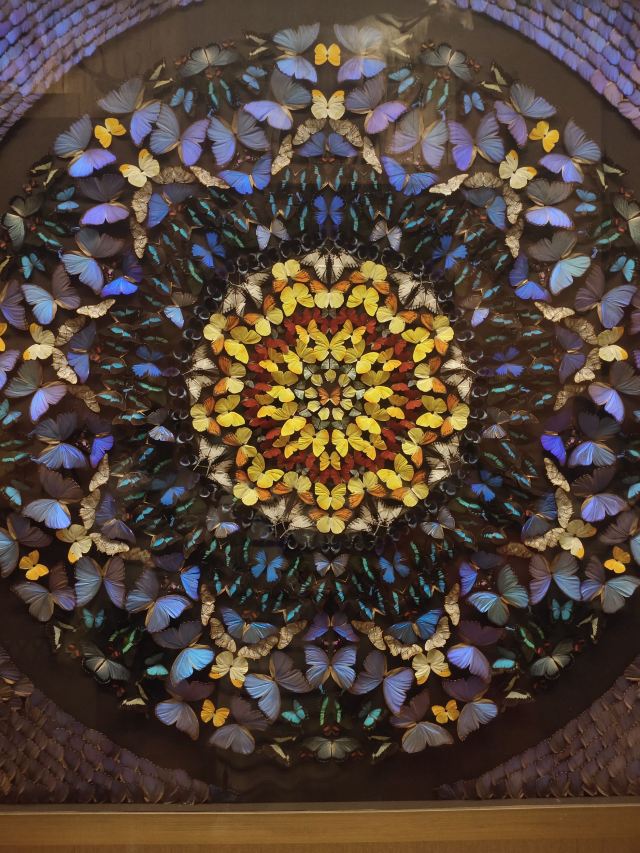 上海十个值得去的地方,上海最值得去的十大地方不花钱