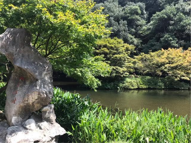 九溪避暑好去处,九宫山避暑胜地亲子游