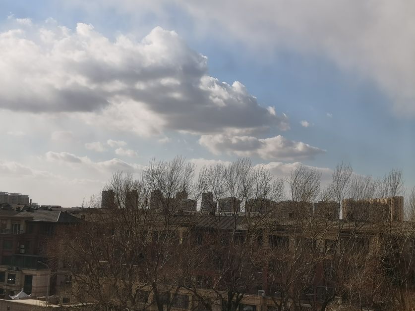 我看“春风”拂来的沈阳