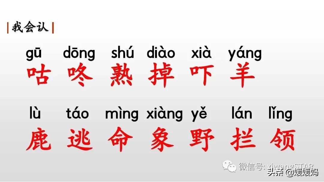 一年级下册20课咕咚,小学一年级语文下册咕咚视频