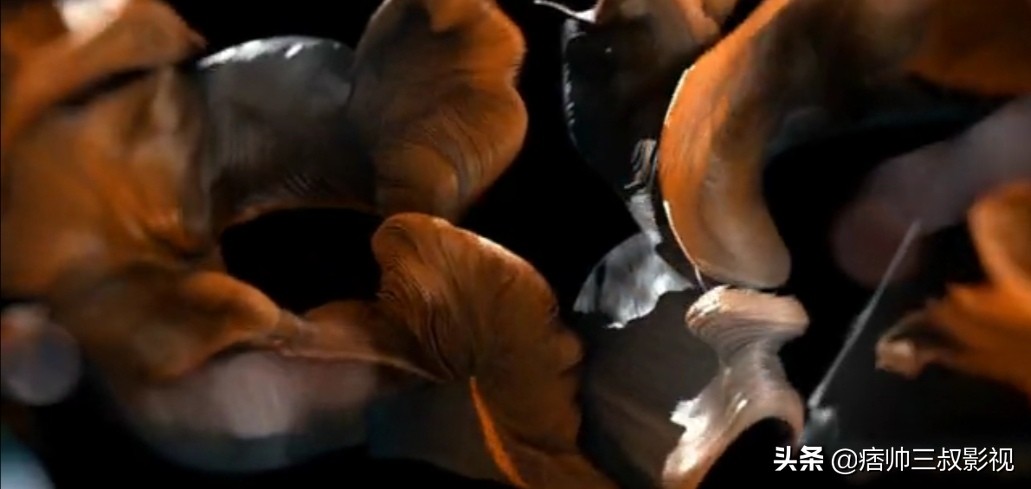 starz出品,starz出品的美剧手机观看