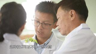 人民大会堂推销土豆,收1500个农民学生,10亿专利无偿送出,64岁的农民院士朱有勇火了!