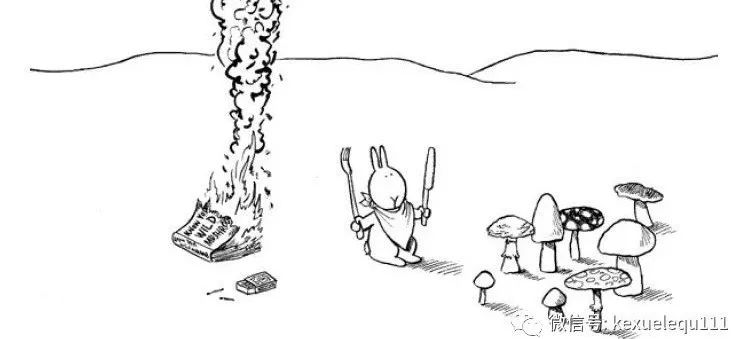 杀死兔子的方法,杀死兔子有什么后果