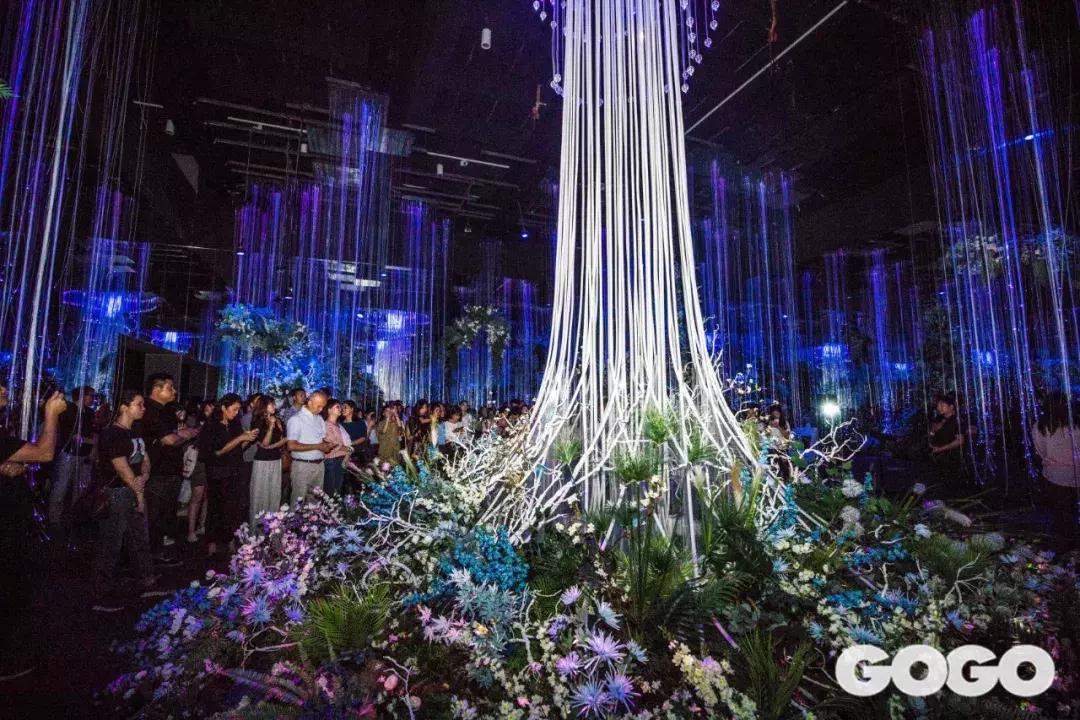 聚划算欢聚日光影之夜，开启满天星·光盛典