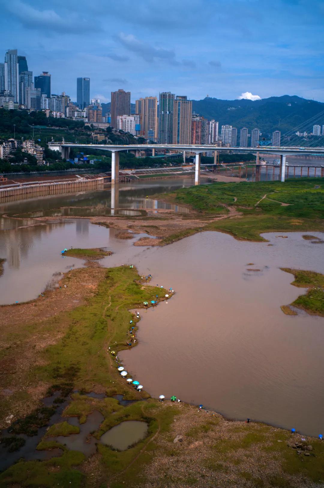 50mmf1.4全画幅镜头推荐,50mmf1.4镜头有几代