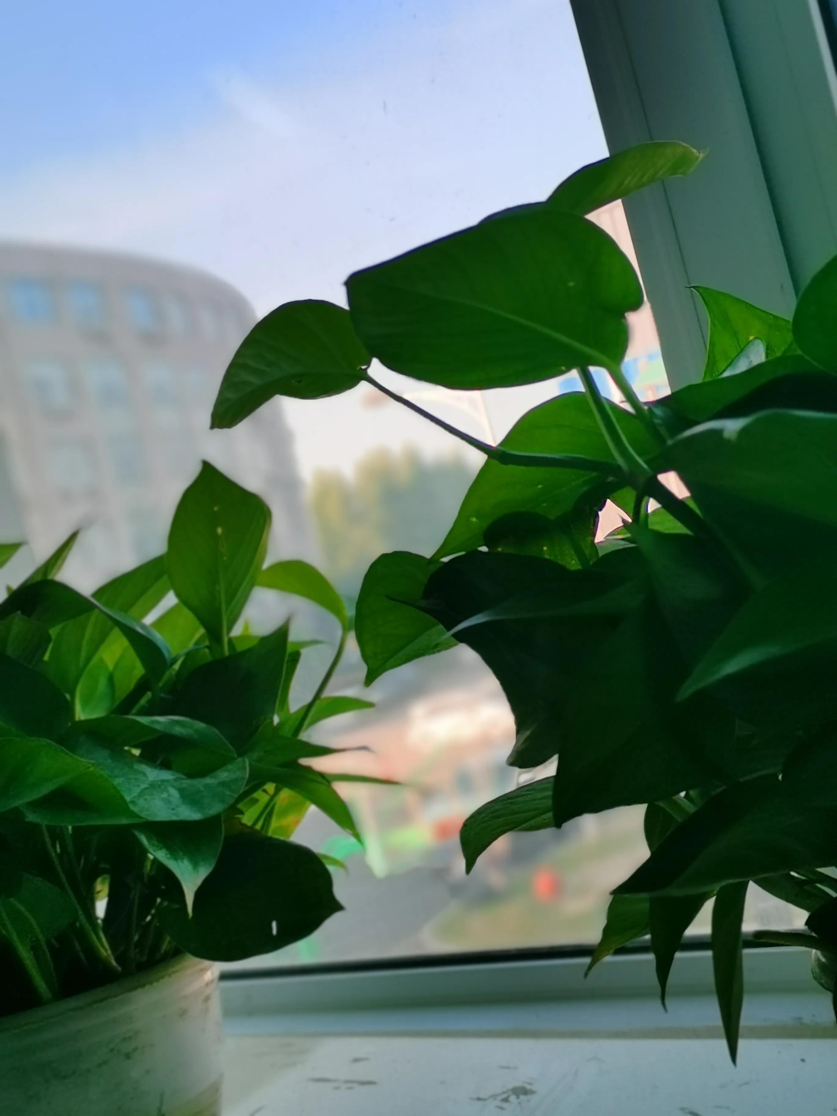 浑南国际新兴产业园,浑南新兴工业园区