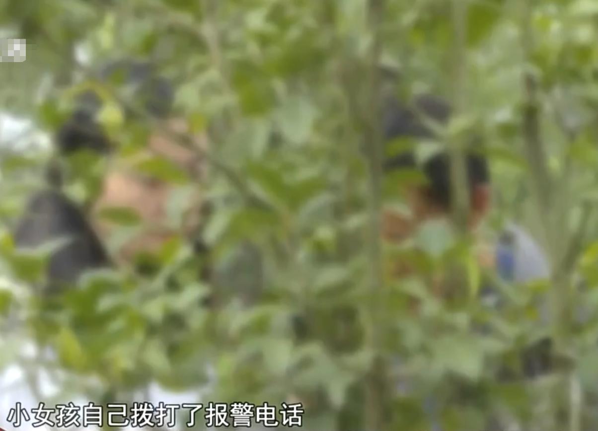 13岁女孩电梯内两次遭侵犯,安徽13岁女孩电梯内两次遭侵犯