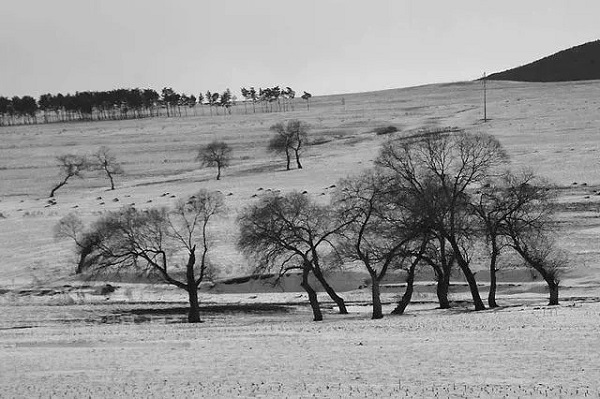 人间地狱宁古塔到底为何如此可怕,宁古塔最恐怖的地方