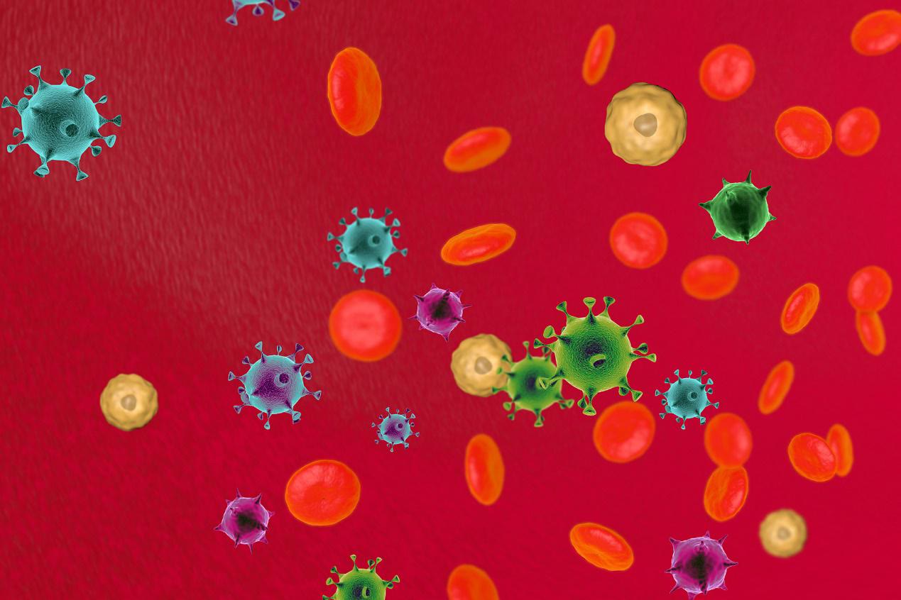 败血症和白血病的症状有什么区别,败血症与白血病有什么区别