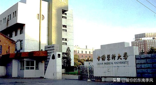 今年浙江二本院校投档线,2019浙江本一批院校投档线