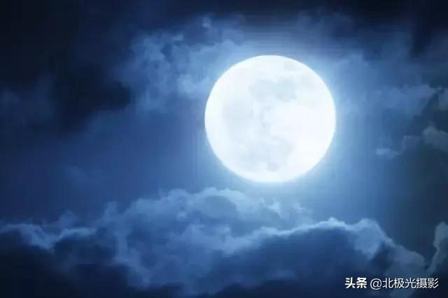 拍夜景鸟的正确方法,拍摄鸟类摄影欣赏