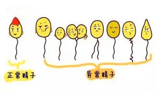 精子异常是怎么回事,精子异常是如何导致